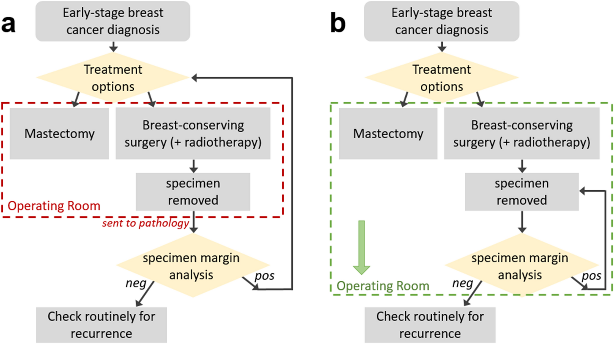women-breast-cancer-stages